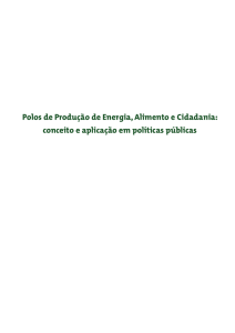 conceito e aplicação em políticas públicas Polos de Produção de