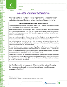 Una vez que hayan realizado varios experimentos para comprender
