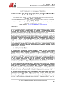 Inmovilizacion 2