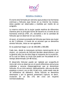 PDF Reserva Ovárica