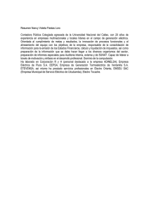 Resumen Nancy Violeta Fiestas Loro Contadora Pública