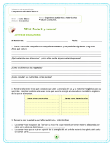 FICHA: Producir y consumir