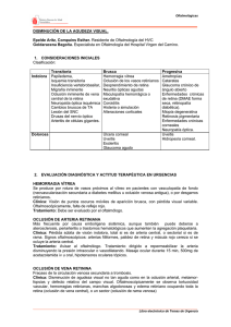 DISMINUCIÓN DE LA AGUDEZA VISUAL. Epelde Aritz, Compains