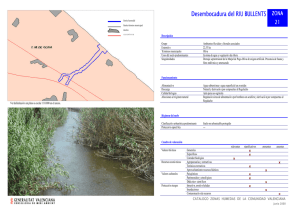 Desembocadura del RIU BULLENTS