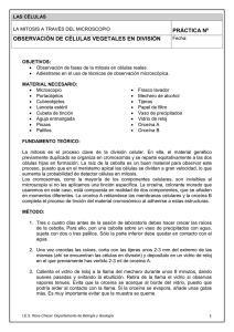 PRÁCTICA Nº OBSERVACIÓN DE CÉLULAS VEGETALES EN