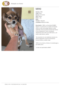 PDF - Adopta un Amic