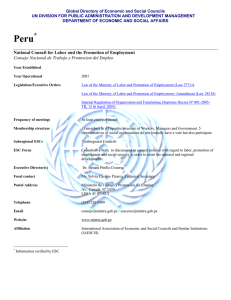 National Council for Labor and Promotion of Employment, Peru