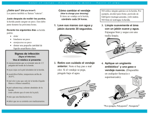 Signos de infección Cómo cambiar el vendaje 1