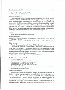 Caracteres diagnósticos Peritecios inmersos en el substrato