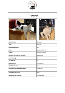 casper - miaocats.com