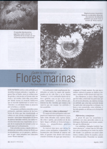 LOS FONDOS marinas estanpoblados par increibles criaturas