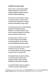 comentario_sinfonia_gris_mayor