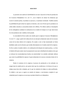 RESUMEN La presente tesis analiza la factibilidad de un nuevo