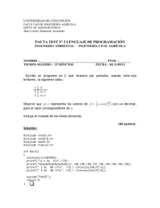 Pauta Test N° 2 Lenguaje C - Universidad de Concepción