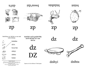 dz dz dz dz dz dz
