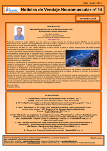 Noticias de Vendaje Neuromuscular nº 14