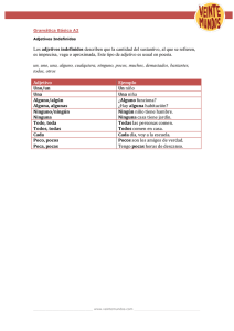 Los adjetivos indefinidos describen qu