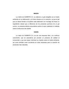 MISIÓN La misión de GUMMYN CA es elaborar