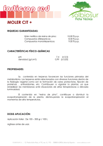 MOLER CIT +
