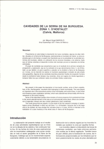 CAVIDADES DE LA SERRA DE NA BURGUESA. ZONA 1