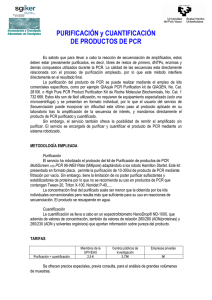 Purificación y Cuantificación de Productos de PCR
