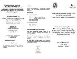 Tríptico del curso [PDF 450KB]