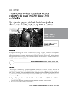 Sintomatología asociada a bacteriosis en zonas productoras de