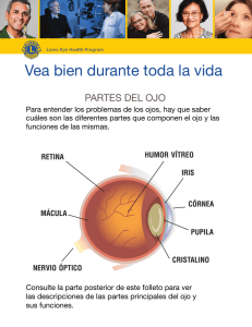 Vea bien durante toda la vida