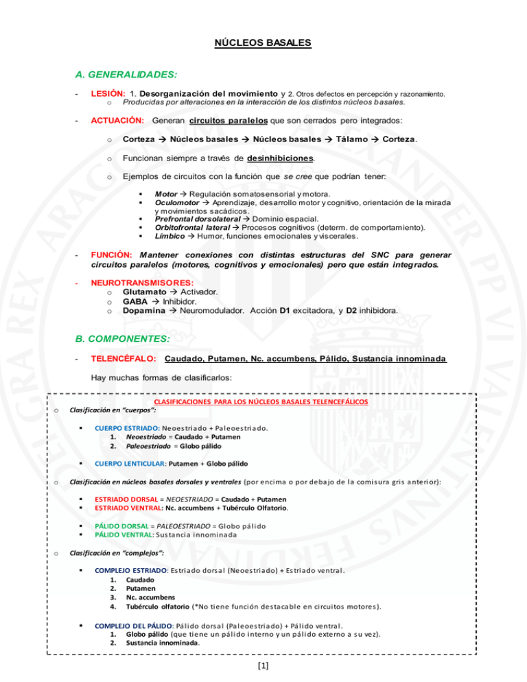 [1] NÚCLEOS BASALES A. GENERALIDADES: B. COMPONENTES: