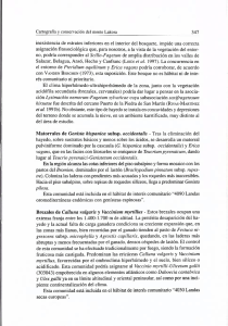 inexistencia de estratos inferiores en el interior del bosquete, impide