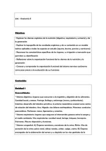 206 - Anatomía II