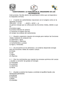 CUESTIONARIO: LA FUNCIÓN EN EL ORGANISMO DE LOS