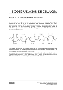 76 Biodegradación de celulosa PDF