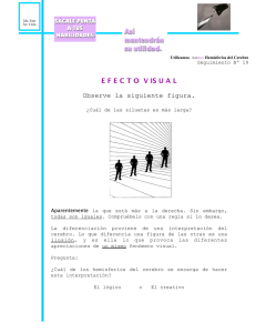 Nº 19 Efecto Visual