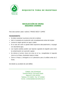 recolección de orina segundo chorro