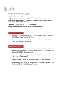 Currículum Vitae Gerald Manolo Silva Argüelles