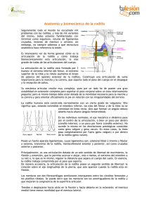 Anatomía y biomecánica de la rodilla