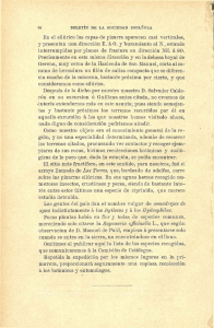 En el silúrico las capas- de pizarra aparecen casi verticales, y