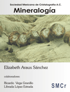 elizabeth araux sánchez - SMCr