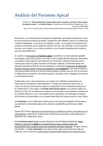 Análisis del Foramen Apical