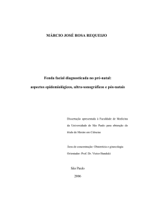 MÁRCIO JOSÉ ROSA REQUEIJO Fenda facial diagnosticada no pré