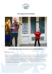 The Components of Imitation