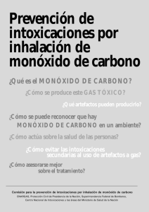Prevención de intoxicaciones por inhalación de monóxido de carbono