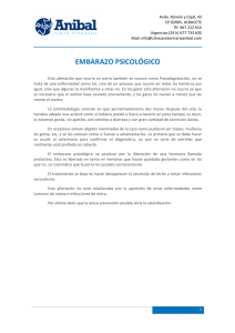 embarazo psicologico - Clínica Veterinaria Anibal