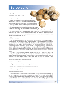 Berberecho - FEN. Fundación Española de la Nutrición