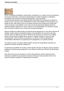 Embarazo psicológico - Servicios Clínica Veterinaria San Lazaro