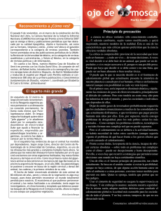 ojo de mosca - Cómo ves?