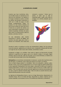 La Misión del Colibrí: Leyenda Quechua sobre la Sequía