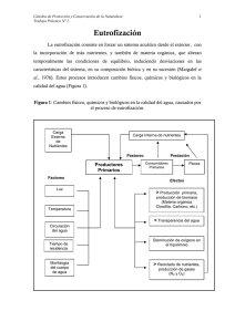 Trabajo práctico 1
