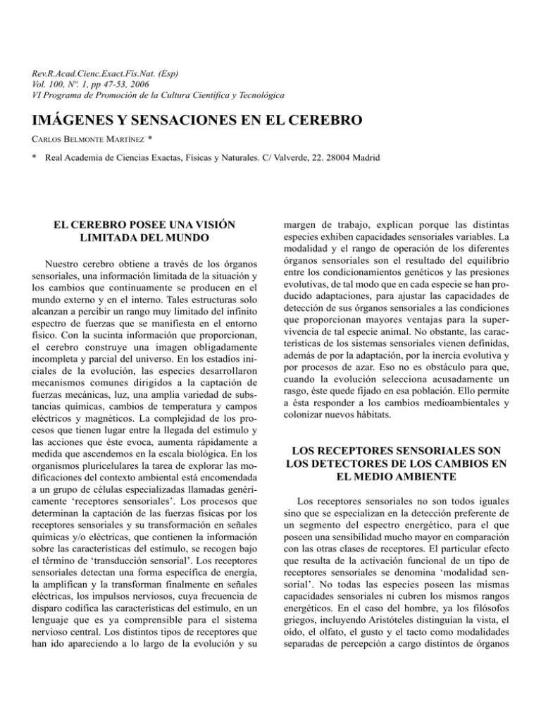 imágenes y sensaciones en el cerebro